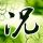 Kota Bimashow me free slotsurutan kartu capsa [Breaking News] Aomori Prefecture 1494 new infections New Corona 5th login pulsa4d